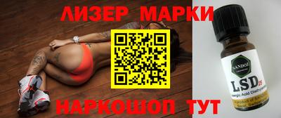 индика Новозыбков