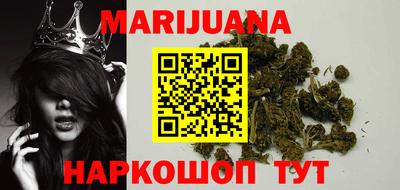 индика Новозыбков