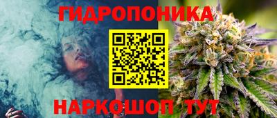 индика Новозыбков