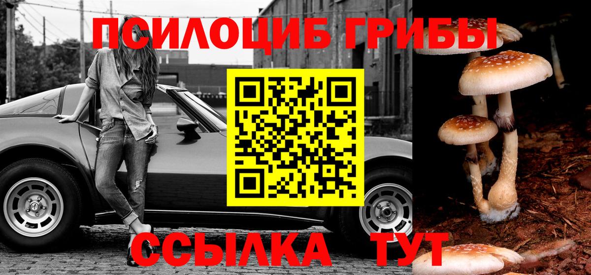 Родники  Галлюциногенные грибы мухоморы  Вход с VPN  Галлюциногенные грибы Psilocybe 